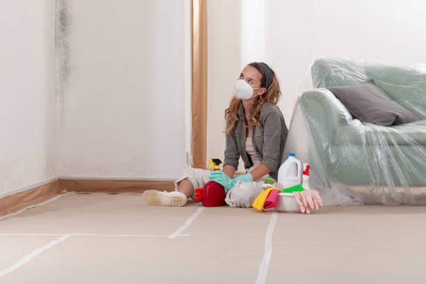 Reliable Mold Remediation contractor in Watervliet, MI by 24 Hour Mold Removal